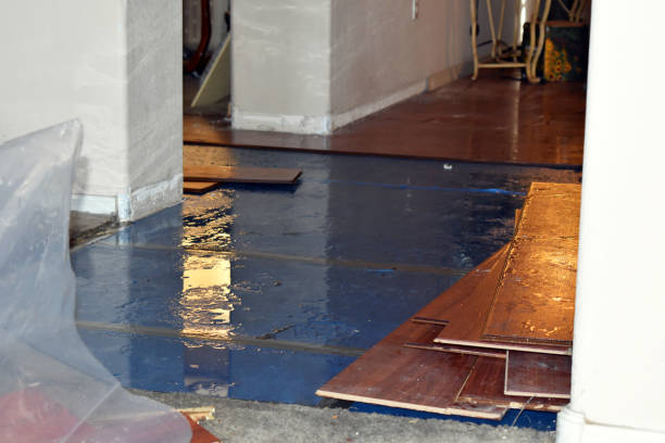 Professional Flood Cleanup technician working in Ben Wheeler, TX